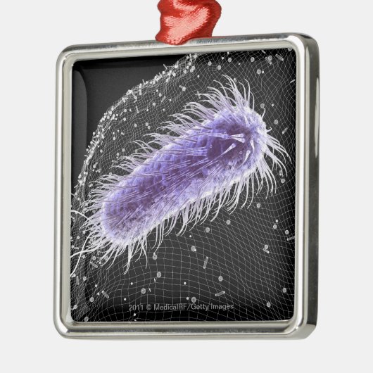 Microscopisch uitzicht van een helicobacter pylori metalen ornament (Links)