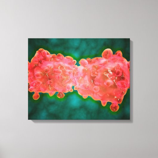 Microscopisch Uitzicht van een leukemiecel Canvas Afdruk (Voorkant)