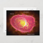 Microscopisch Uitzicht van een mestcel Briefkaart (Voorkant / Achterkant)