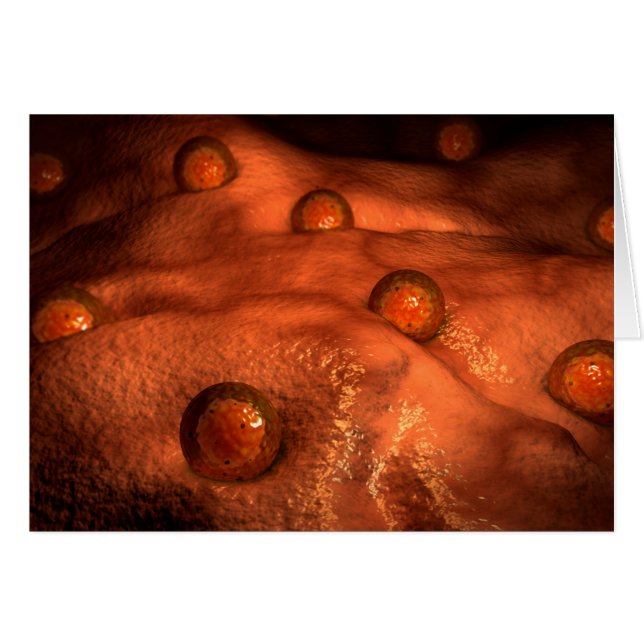 Microscopisch Uitzicht van eicellen (Voorkant Horizontaal)