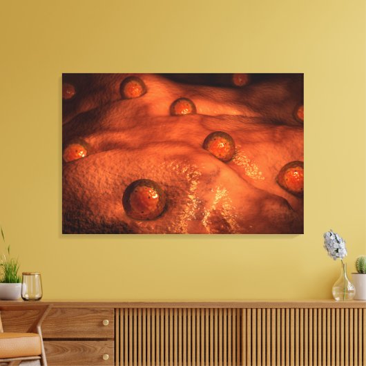 Microscopisch Uitzicht van eicellen Canvas Afdruk (Insitu (Woonkamer))