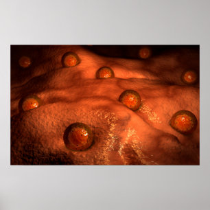 Microscopisch Uitzicht van eicellen Poster