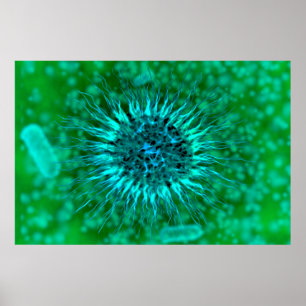 Microscopisch Uitzicht van endrimers 3 Poster