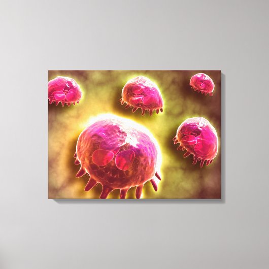 Microscopisch Uitzicht van fagocytaire macrofagen  Canvas Afdruk (Voorkant)