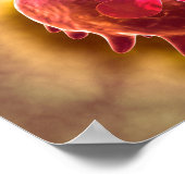 Microscopisch Uitzicht van fagocytaire macrofagen  Poster (Hoek)