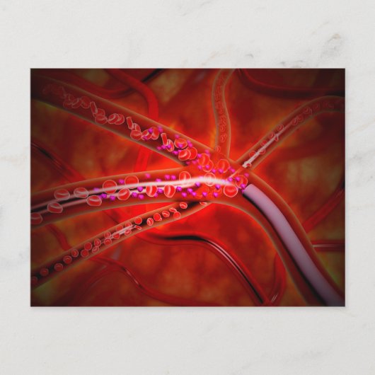 Microscopisch Uitzicht van het geïnjecteerde genee Briefkaart (Voorkant)