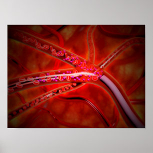 Microscopisch Uitzicht van het geïnjecteerde genee Poster