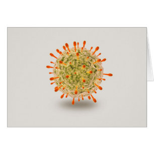 Microscopisch Uitzicht van het herpesvirus 2