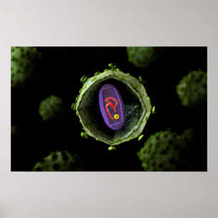 Microscopisch Uitzicht van het HIV-virus, doorsned Poster