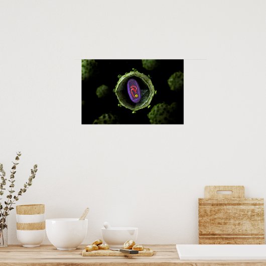 Microscopisch Uitzicht van het HIV-virus, doorsned Poster (Keuken)