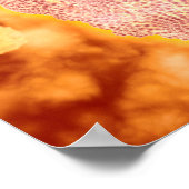 Microscopisch Uitzicht van het kaninenparvovirus 1 Poster (Hoek)