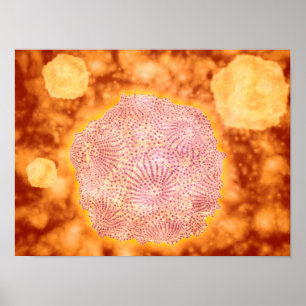 Microscopisch Uitzicht van het kaninenparvovirus 1 Poster