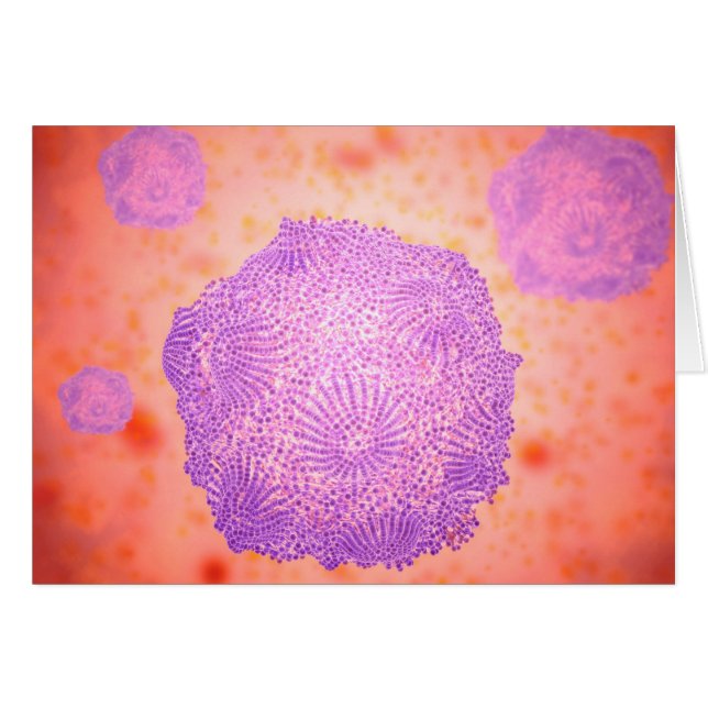 Microscopisch Uitzicht van het kaninenparvovirus 2 (Voorkant Horizontaal)