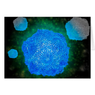 Microscopisch Uitzicht van het kaninenparvovirus 3