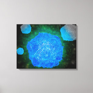 Microscopisch Uitzicht van het kaninenparvovirus 3 Canvas Afdruk