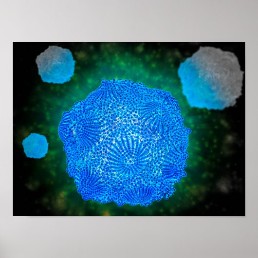 Microscopisch Uitzicht van het kaninenparvovirus 3 Poster (Voorkant)