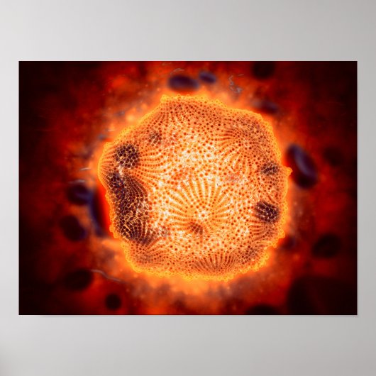 Microscopisch Uitzicht van het kaninenparvovirus 4 Poster (Voorkant)