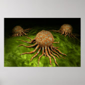 Microscopisch Uitzicht van het kankervirus Poster (Voorkant)