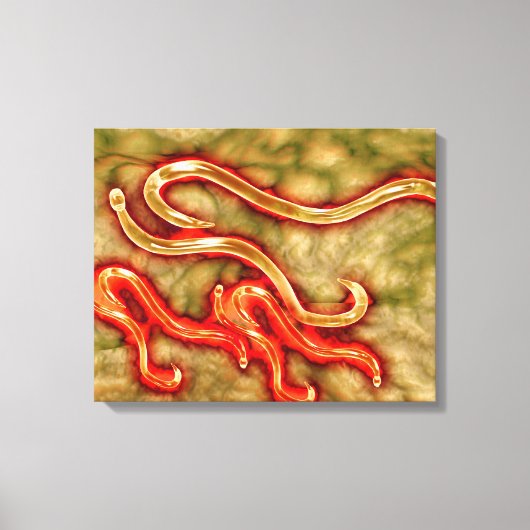 Microscopisch Uitzicht van Hookworm 1 Canvas Afdruk (Voorkant)