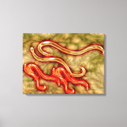 Microscopisch Uitzicht van Hookworm 1 Canvas Afdruk (Voorkant)