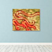 Microscopisch Uitzicht van Hookworm 1 Canvas Afdruk (Insitu (Houten vloer))