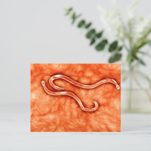 Microscopisch Uitzicht van Hookworm 2 Briefkaart (Staand voorkant)
