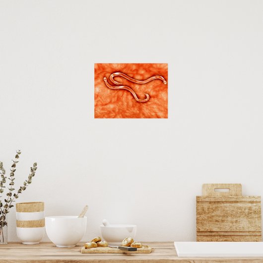 Microscopisch Uitzicht van Hookworm 2 Poster (Keuken)