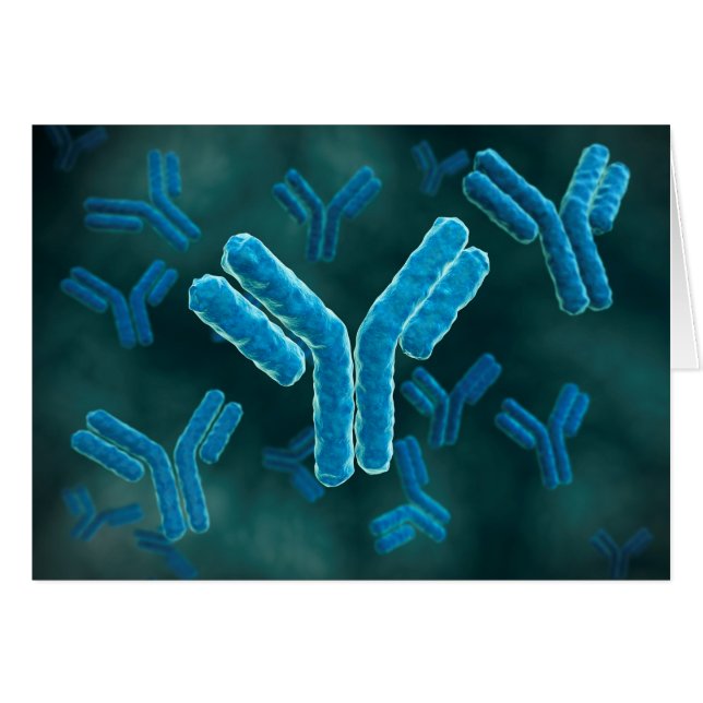 Microscopisch Uitzicht van immunoglobuline G-molec (Voorkant Horizontaal)