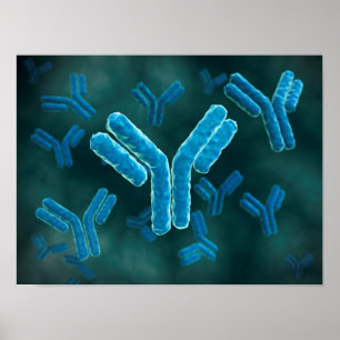 Microscopisch Uitzicht van immunoglobuline G-molec Poster