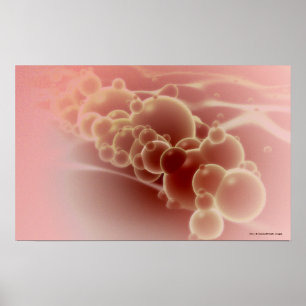 Microscopisch uitzicht van latexmicrosferen poster