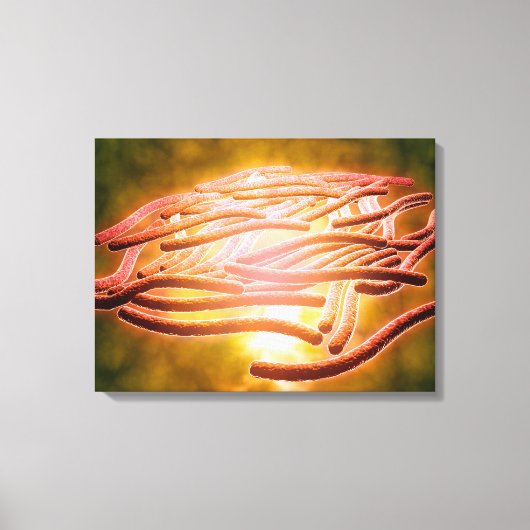 Microscopisch Uitzicht van Legionella Pneumophila Canvas Afdruk (Voorkant)