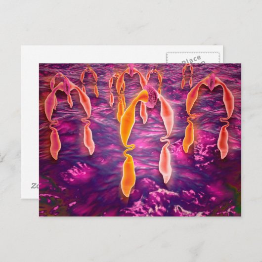 Microscopisch Uitzicht van ligand dat aan een rece Briefkaart (Voorkant / Achterkant)