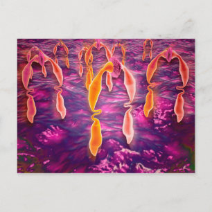 Microscopisch Uitzicht van ligand dat aan een rece Briefkaart