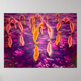 Microscopisch Uitzicht van ligand dat aan een rece Poster