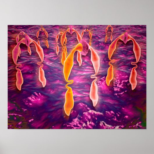 Microscopisch Uitzicht van ligand dat aan een rece Poster (Voorkant)