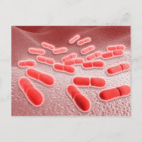 Microscopisch Uitzicht van Listeria monocytogenes