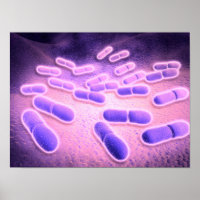 Microscopisch Uitzicht van Listeria monocytogenes 