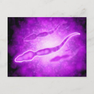 Microscopisch Uitzicht van mannetjespermcellen Briefkaart