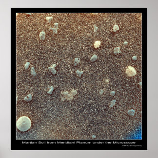 Microscopisch Uitzicht van Martian Soil Poster