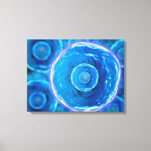 Microscopisch Uitzicht van menselijke B-cellen 1 Canvas Afdruk (Voorkant)