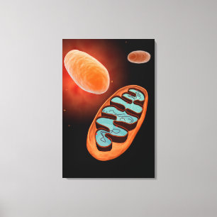 Microscopisch Uitzicht van Mitochondria 1 Canvas Afdruk