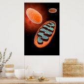 Microscopisch Uitzicht van Mitochondria 1 Poster (Keuken)