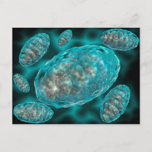 Microscopisch Uitzicht van Mitochondria 2 Briefkaart