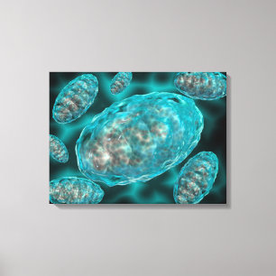 Microscopisch Uitzicht van Mitochondria 2 Canvas Afdruk