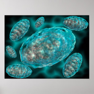 Microscopisch Uitzicht van Mitochondria 2 Poster