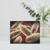 Microscopisch Uitzicht van paramecium 2 Briefkaart (Staand voorkant)