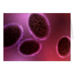 Microscopisch Uitzicht van Samlpox 2