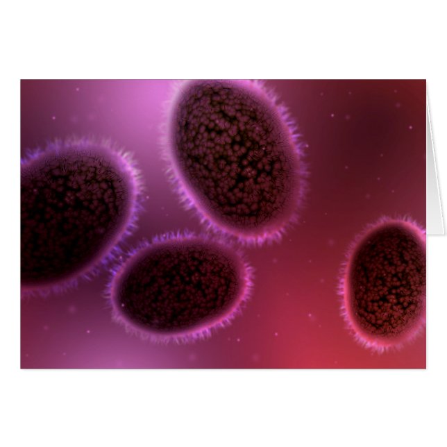 Microscopisch Uitzicht van Samlpox 2 (Voorkant Horizontaal)