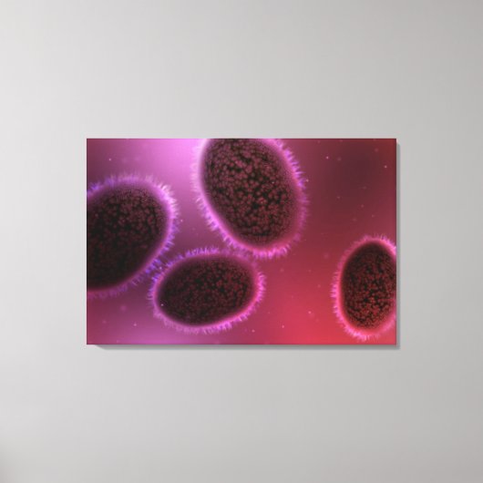 Microscopisch Uitzicht van Samlpox 2 Canvas Afdruk (Voorkant)