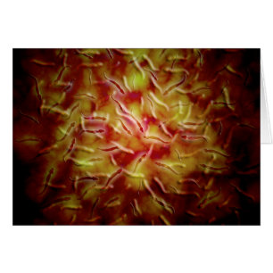 Microscopisch Uitzicht van Sperm